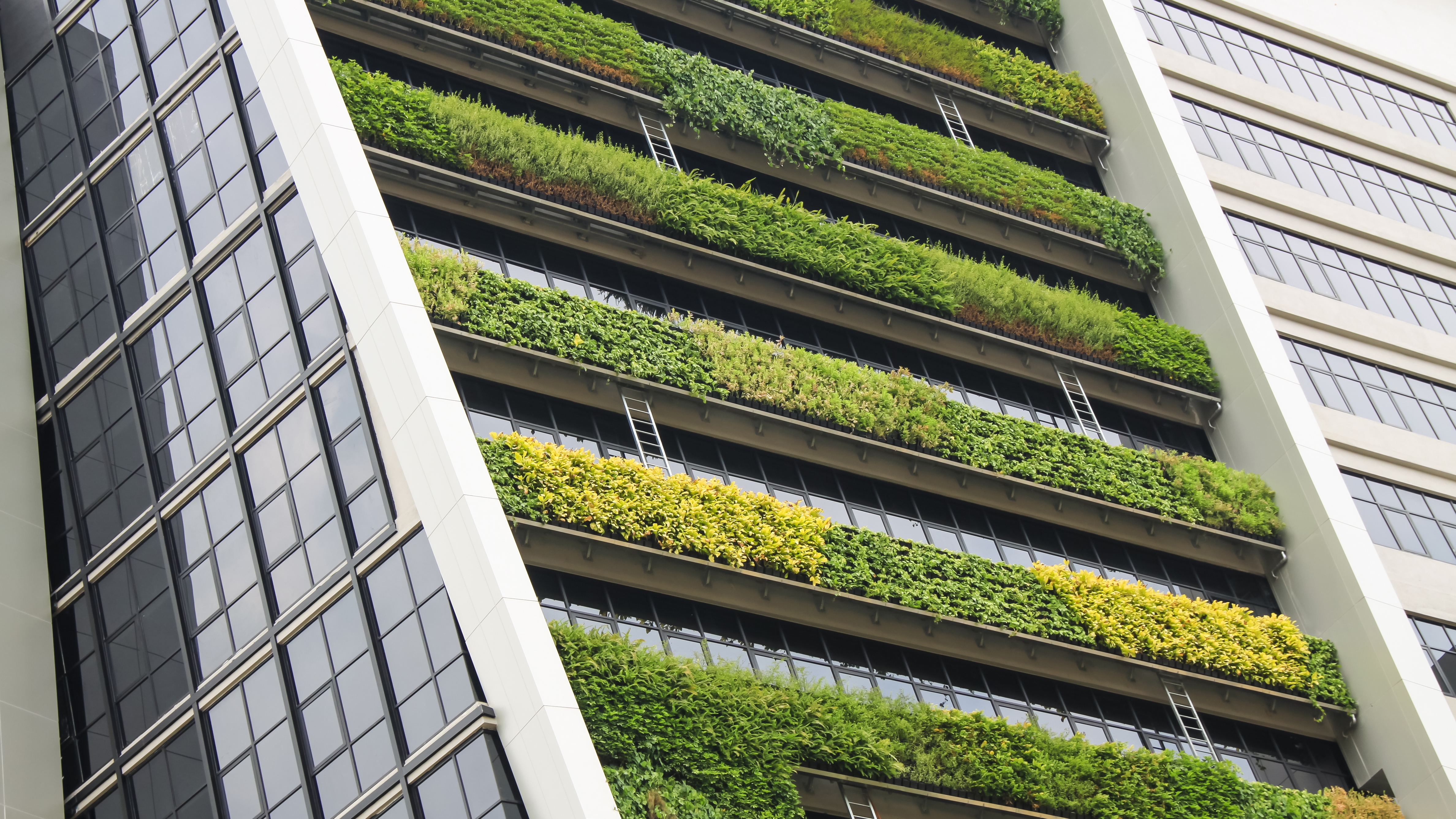 vertical garden a concept of sustainable building, eco building landscape climbing plants; Shutterstock ID 1089389966; purchase_order: N/A; job: PJ Vincent Bryant July 2022; client: ; other: 