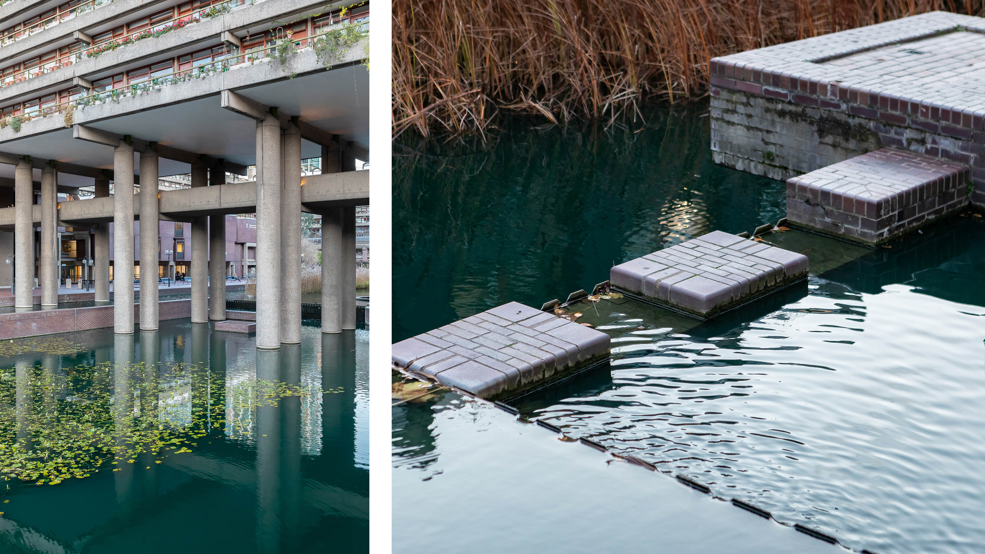 Concrete pillars and stepping stones in green tinted water