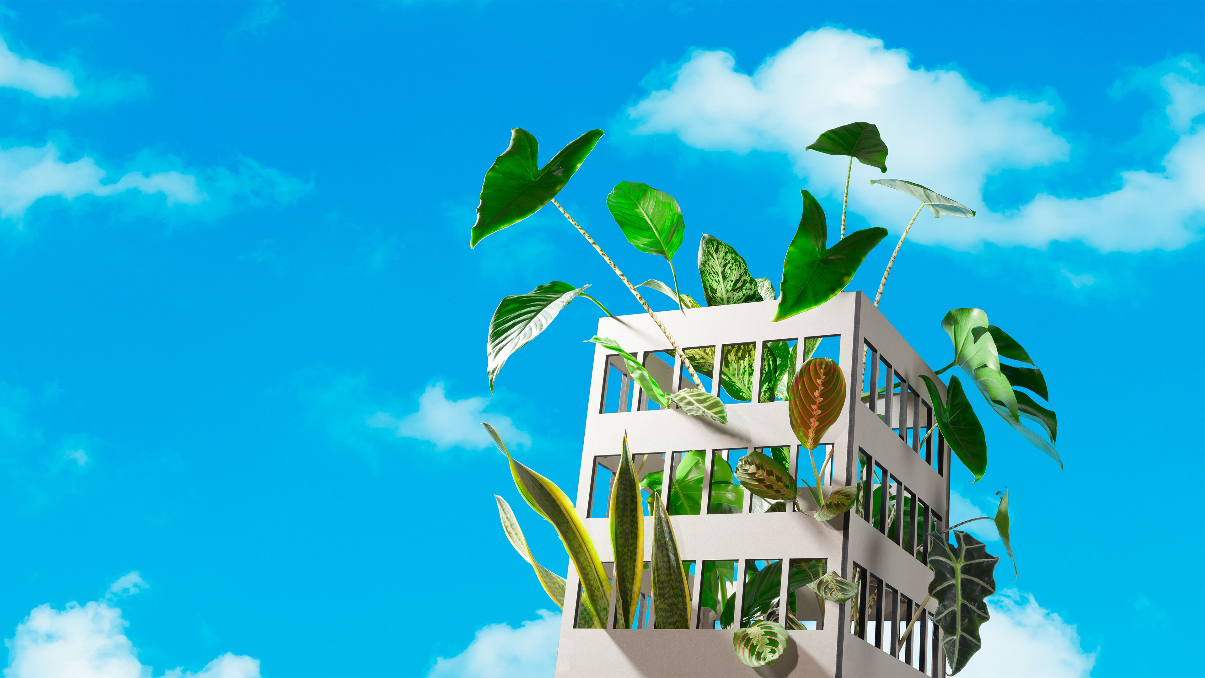 Wooden office block filled with plants against blue sky