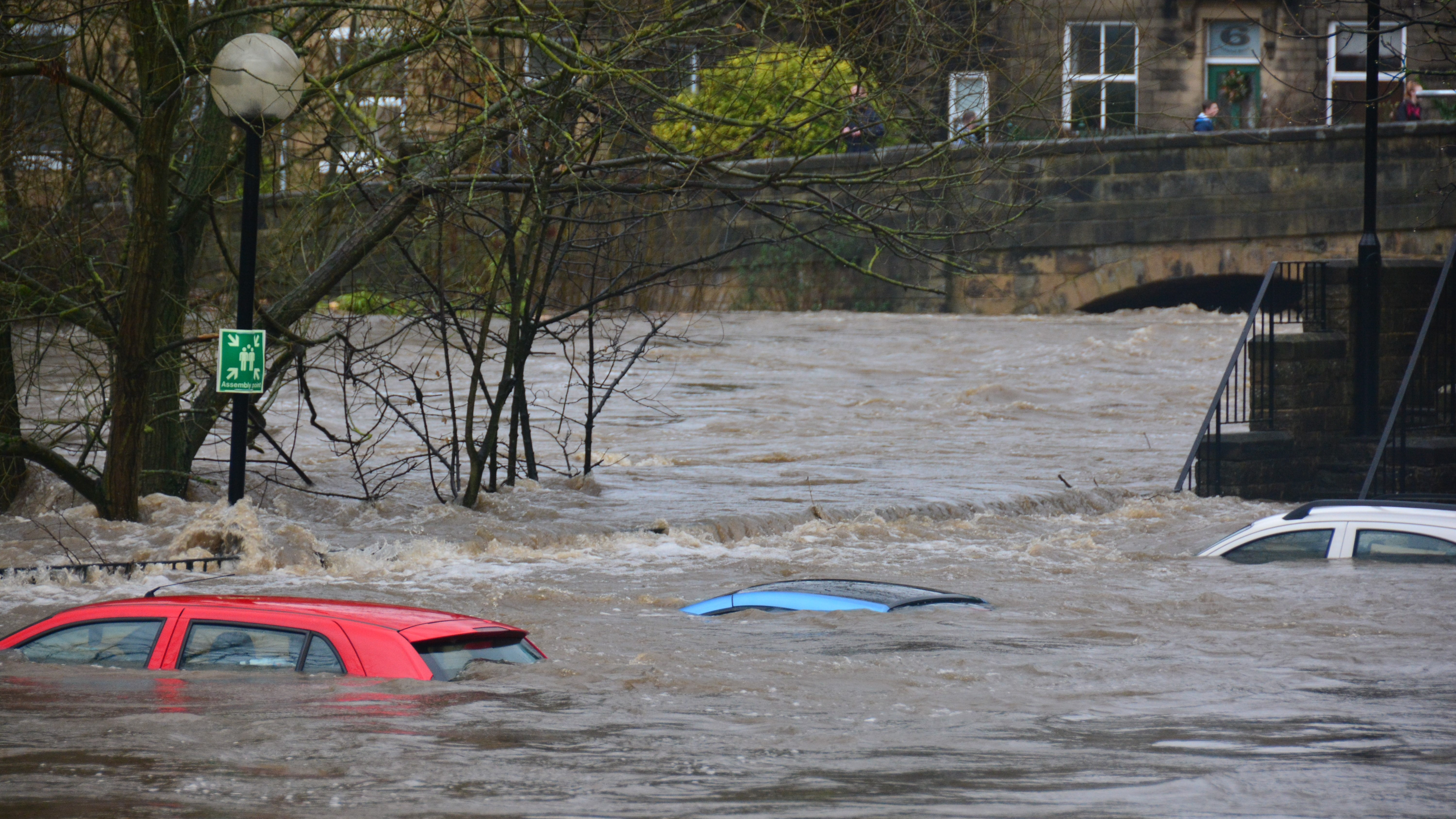Flooded road including submerged cars