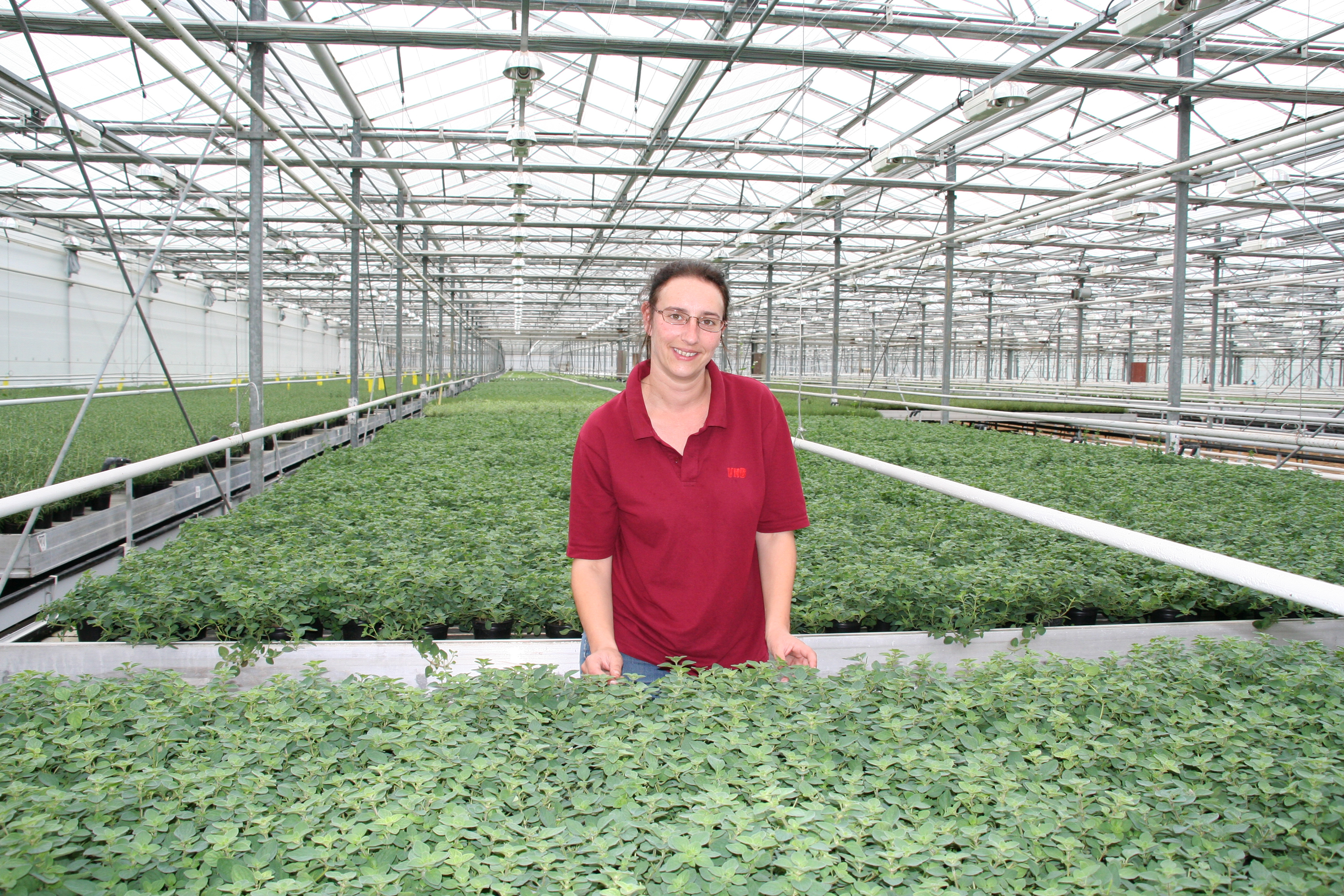 Laura Marner herb grower