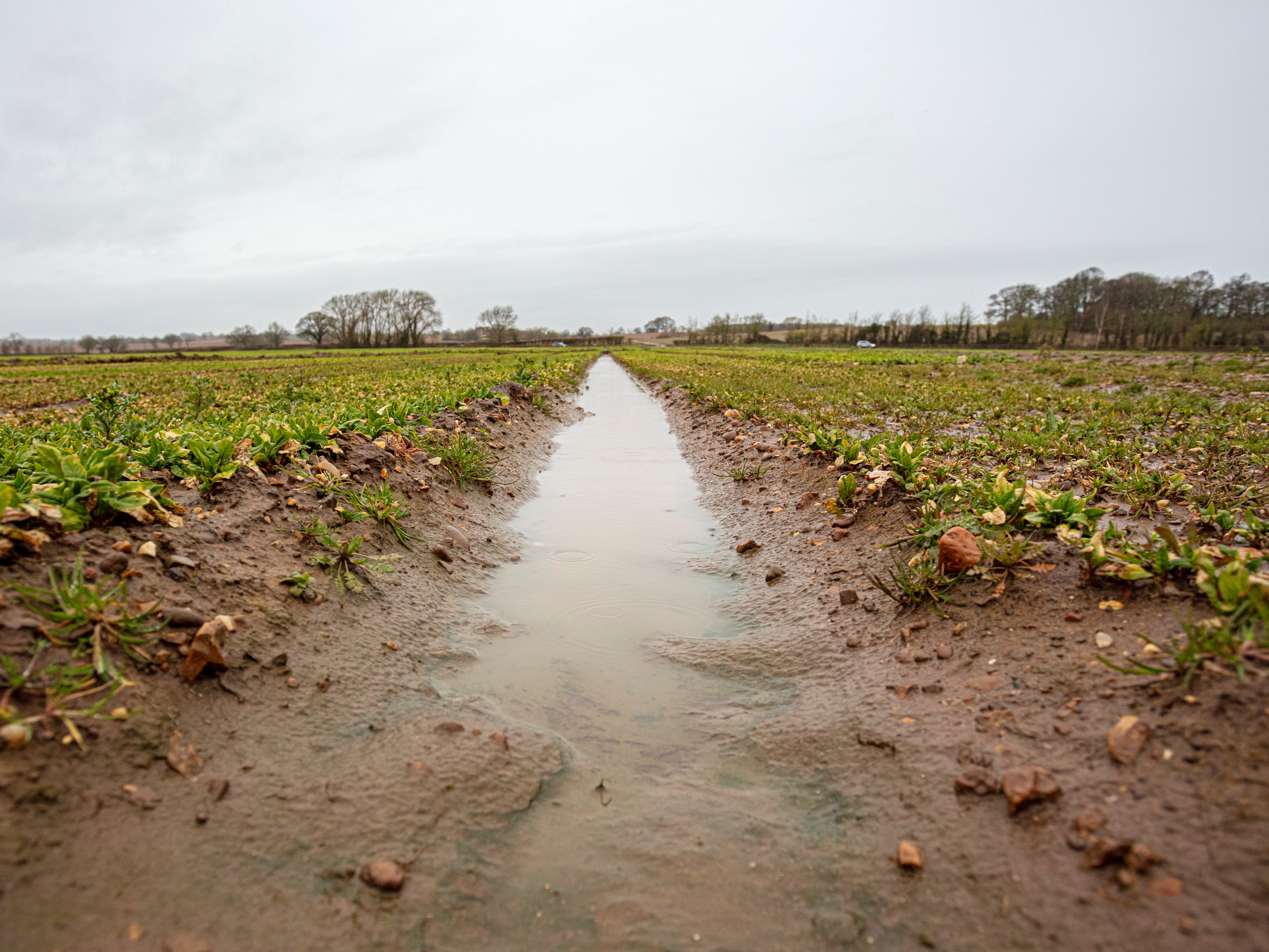 Waterlogged field, Warwickshire