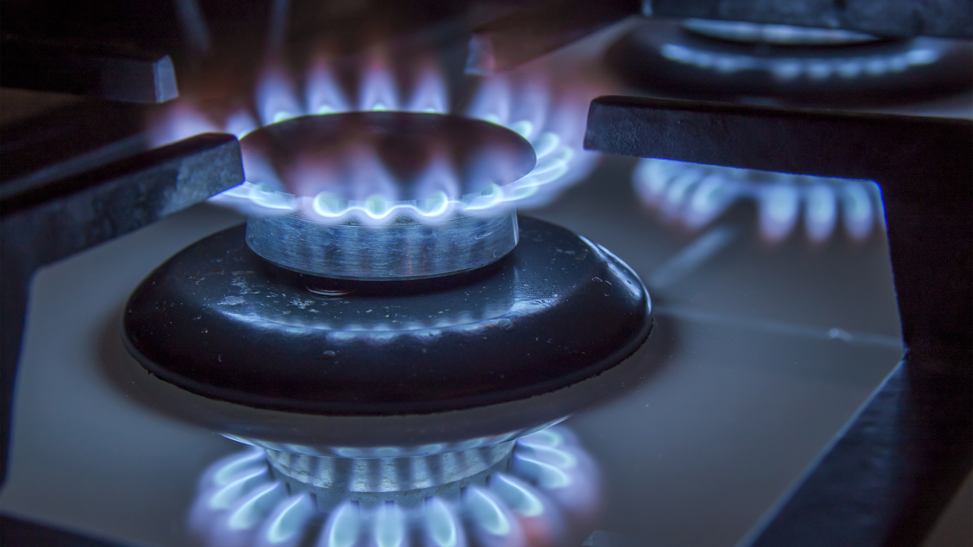 Burning gas stove hob blue flames close up in the dark on a black background; Shutterstock ID 541523737; purchase_order: N/A; job: PJ November 2022 Torill Bigg; client: ; other: 