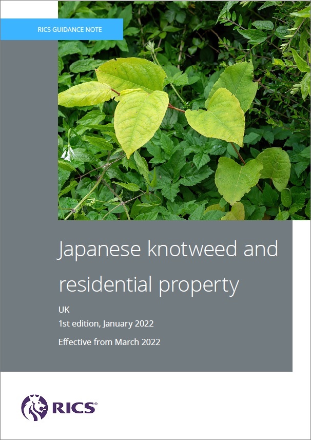 Japanese knotweed and residential property guidance note