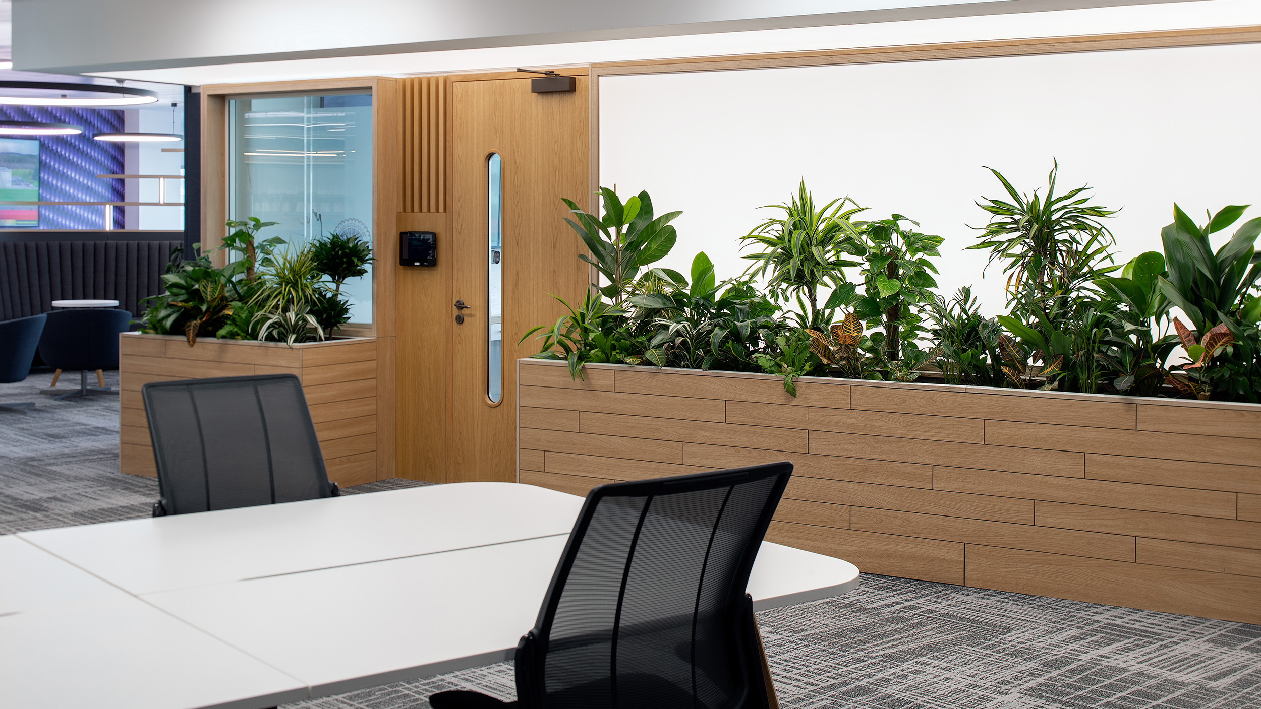 Complimentary lighting showcasing well-being benefits of greenery in the office © Thierry Cardineau 