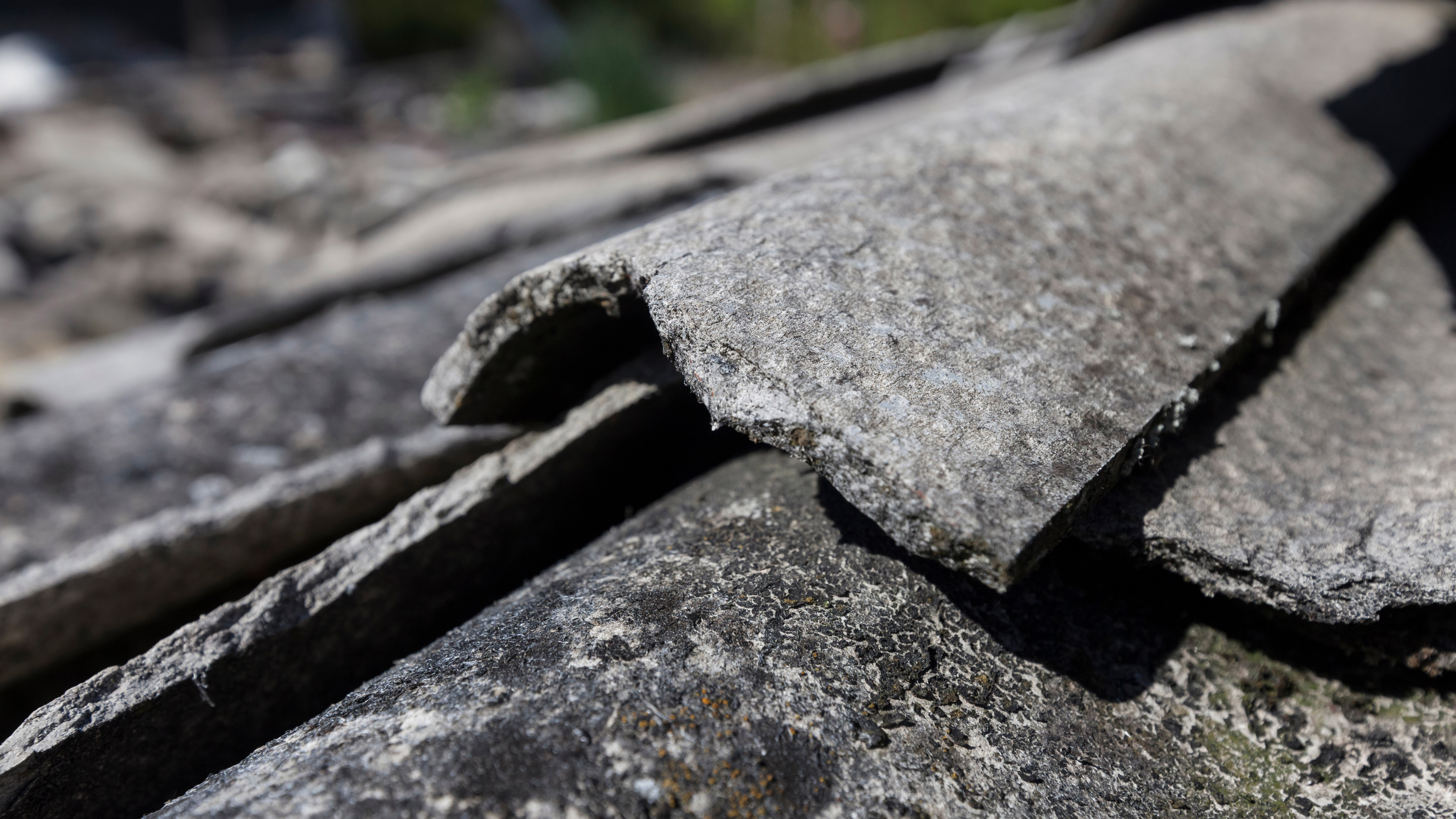 Demolition site with an asbestos issue, close-up view of the broken and fibrous slice of corrugated asbestos cement sheets; Shutterstock ID 1462654427; purchase_order: N/A; job: PJ Sept 2023 Jeffrey Tribich; client: ; other: 