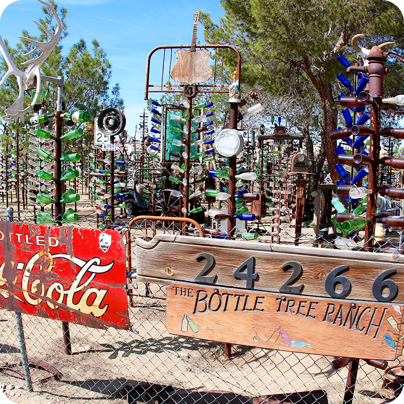 Trees sculptures made from glass bottles