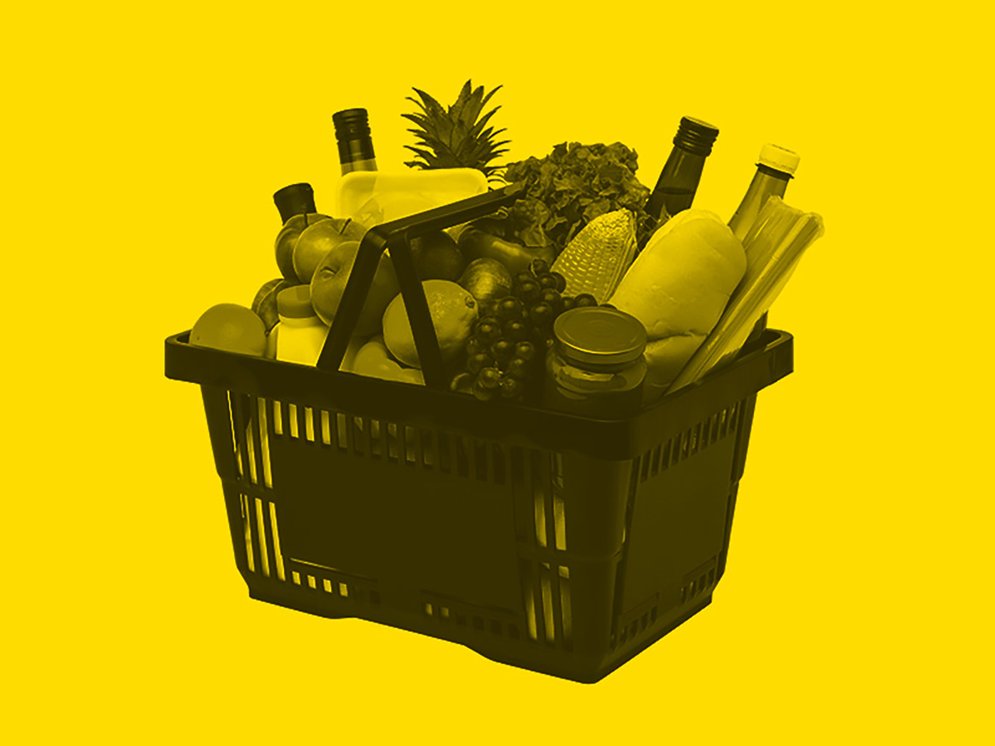 Shopping basket with food