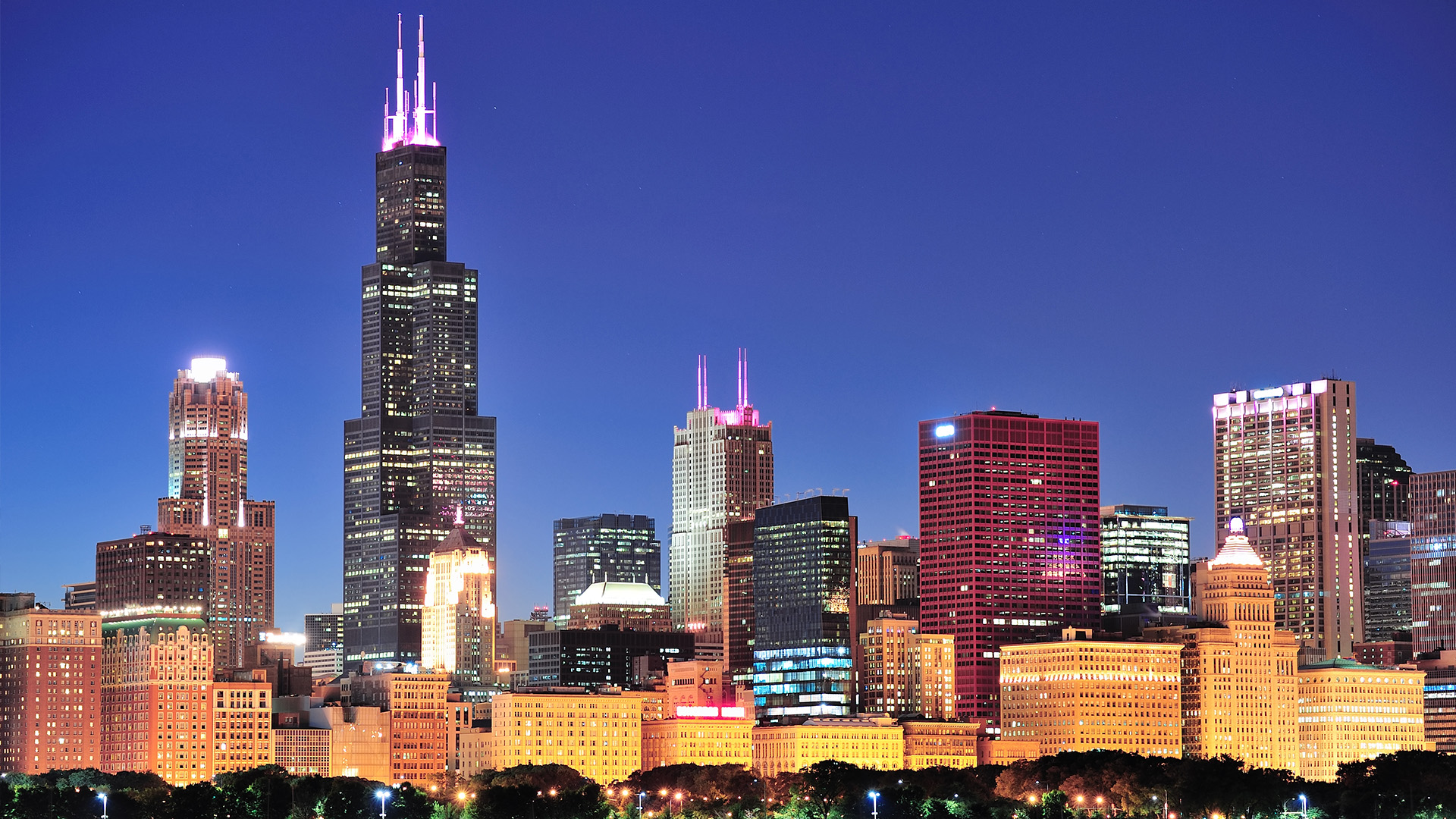 Willis tower and other buildings in skyline lit up at night