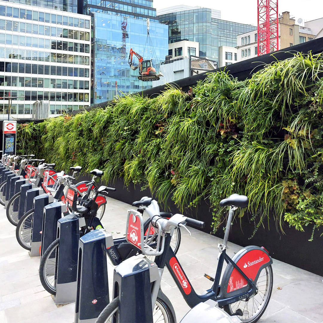 Wall covered in plants alongside pavement next to hire bikes