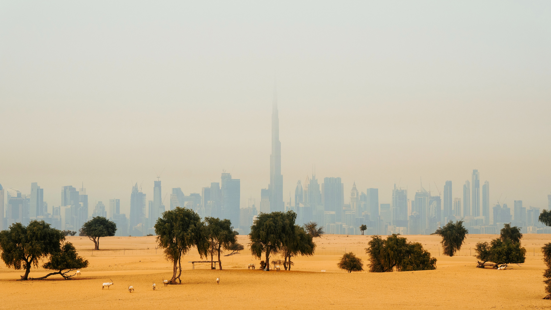 Burj Khalifa desert skyline
