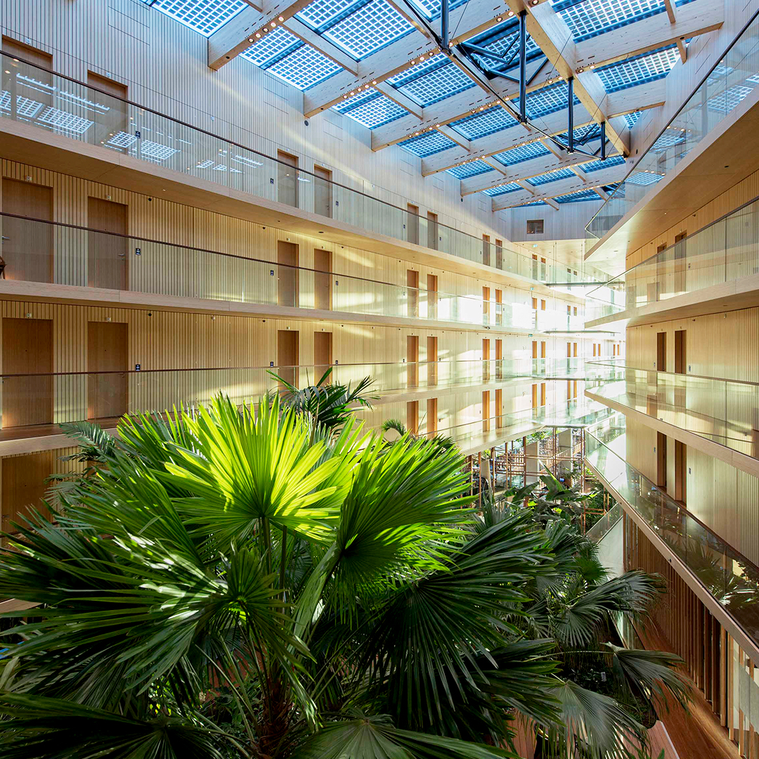 Inside a hotel made from wood and filled with palm trees