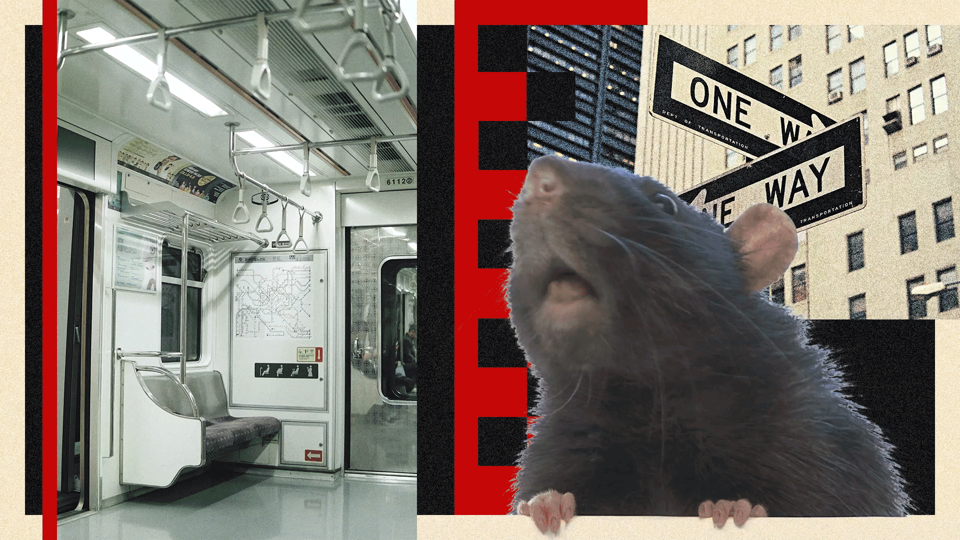 Rat sniffing on collage background of New York subway and one way sign