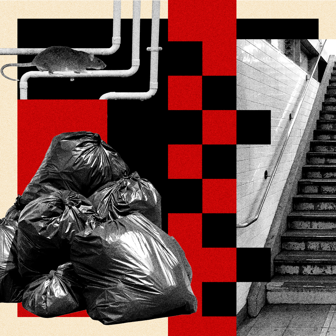 Collage of rubbish bags, rat running along pipes and stairs