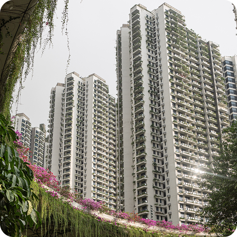 Looking up through greenery at tower blocks