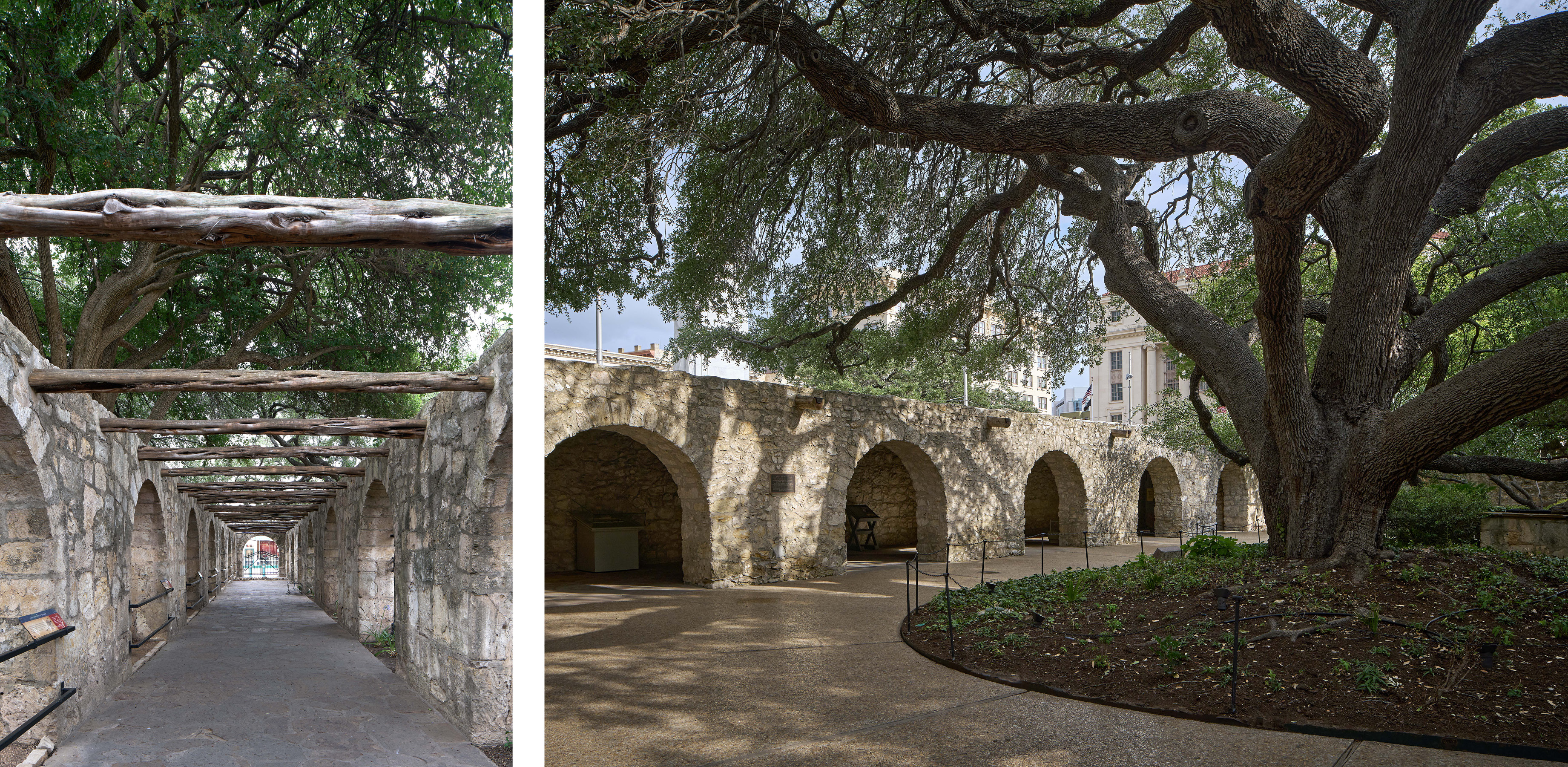 Two photos of the outside arches amongst the trees at the Alamo