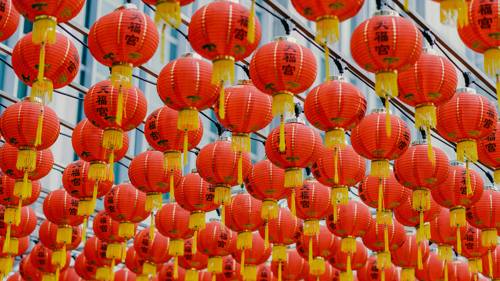 Rows of red Chinese new year lanterns