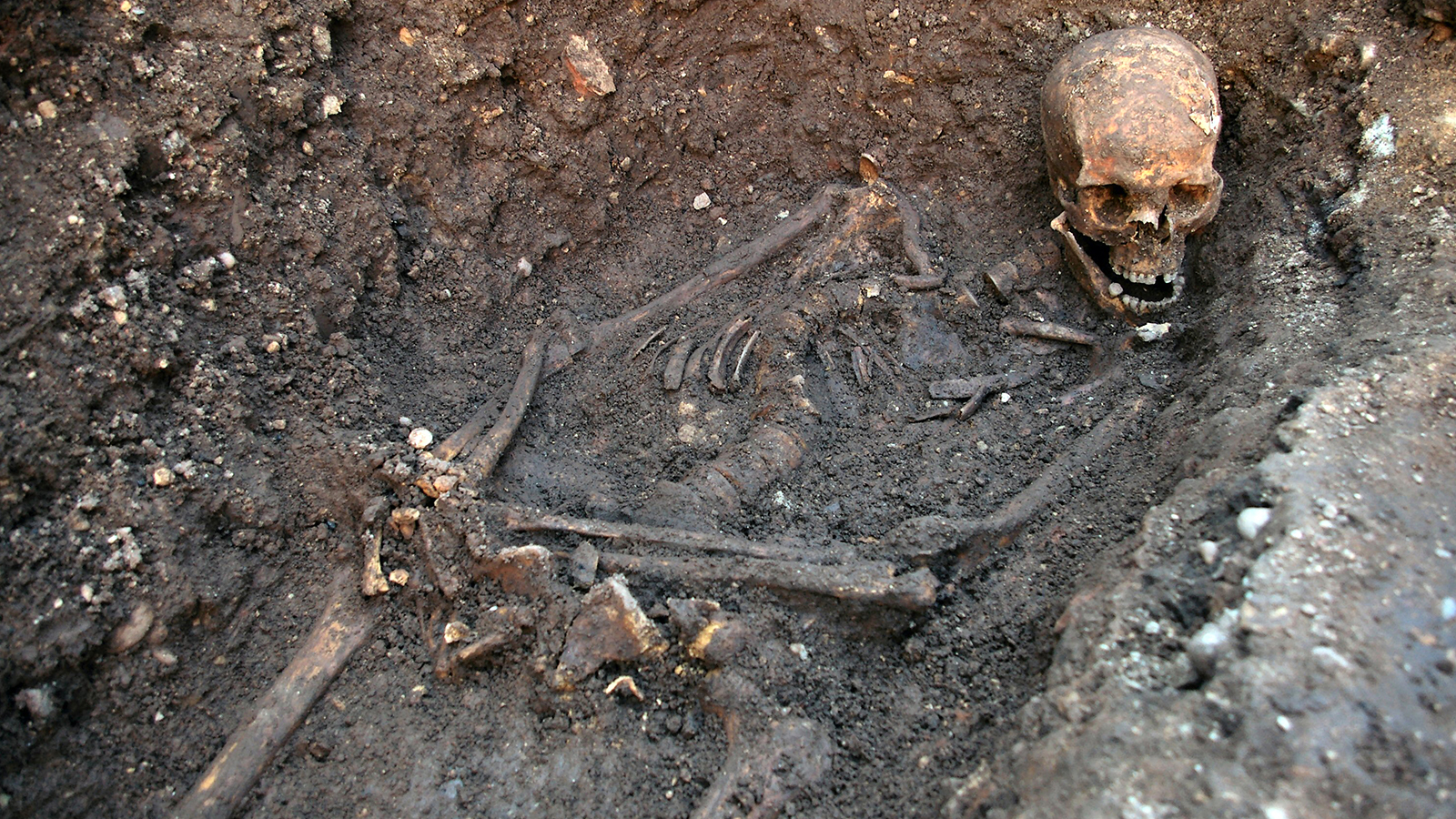 Human skeleton buried in ground