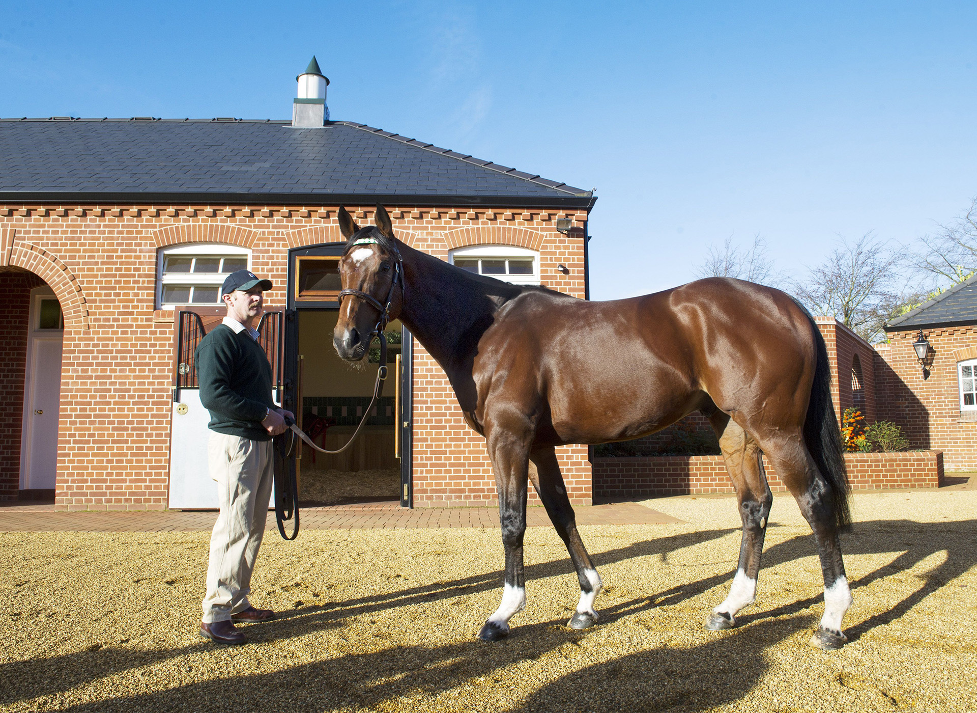 Banstead Manor Stud - Shutterstock Banstead Manor Stud - Shutterstock