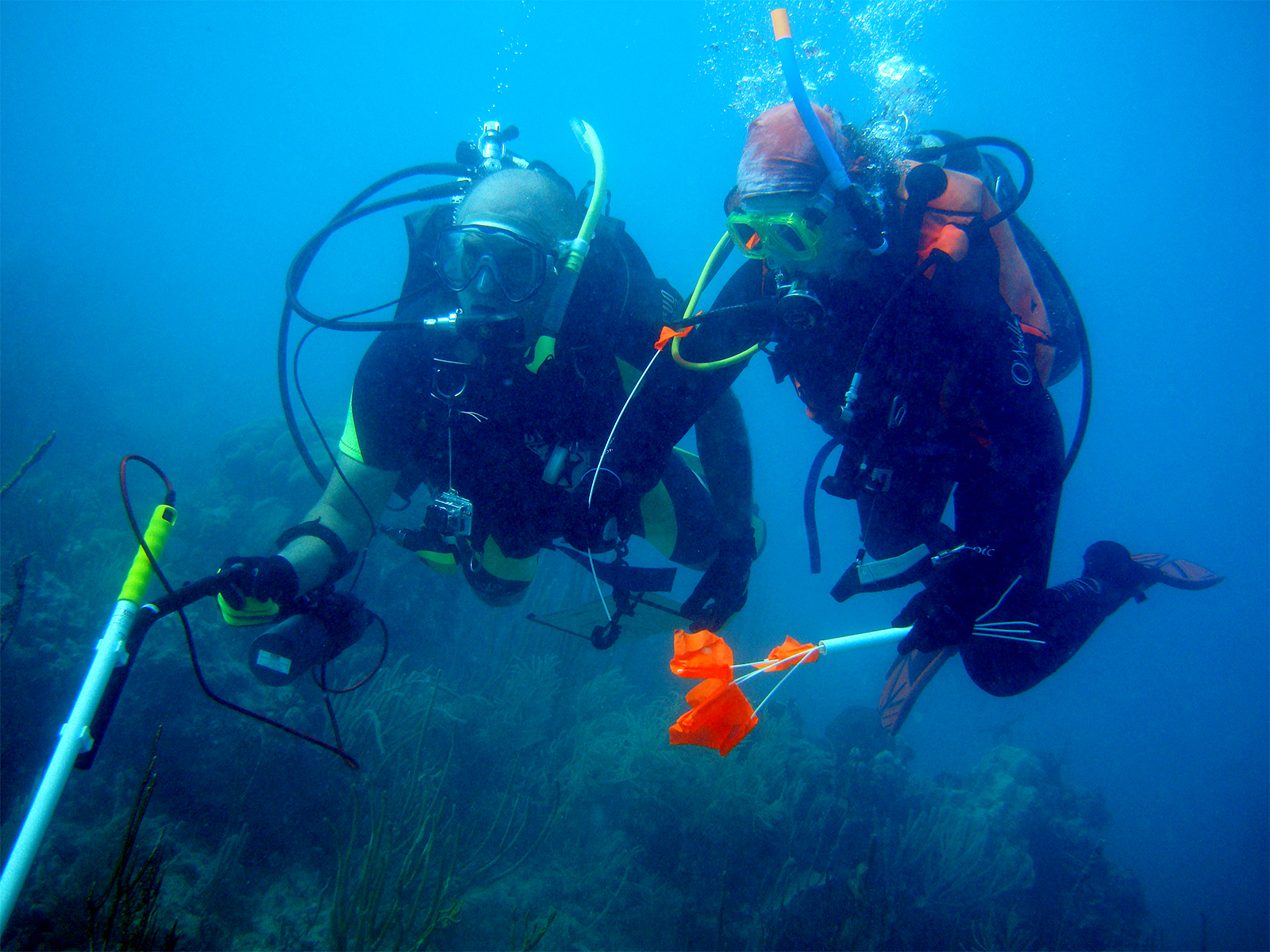 Two scuba divers underwater amongst coral reefs