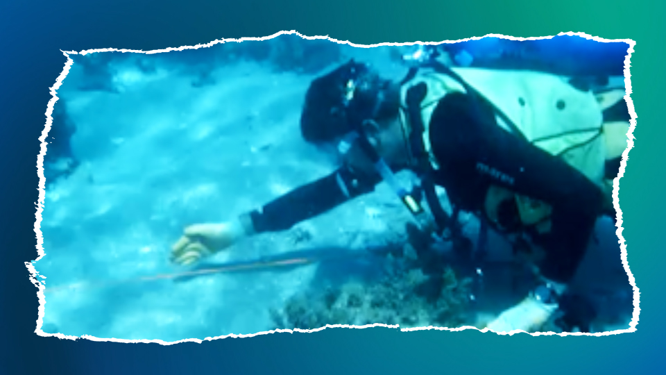 Simon Spooner MRICS: how to survey a shipwreck