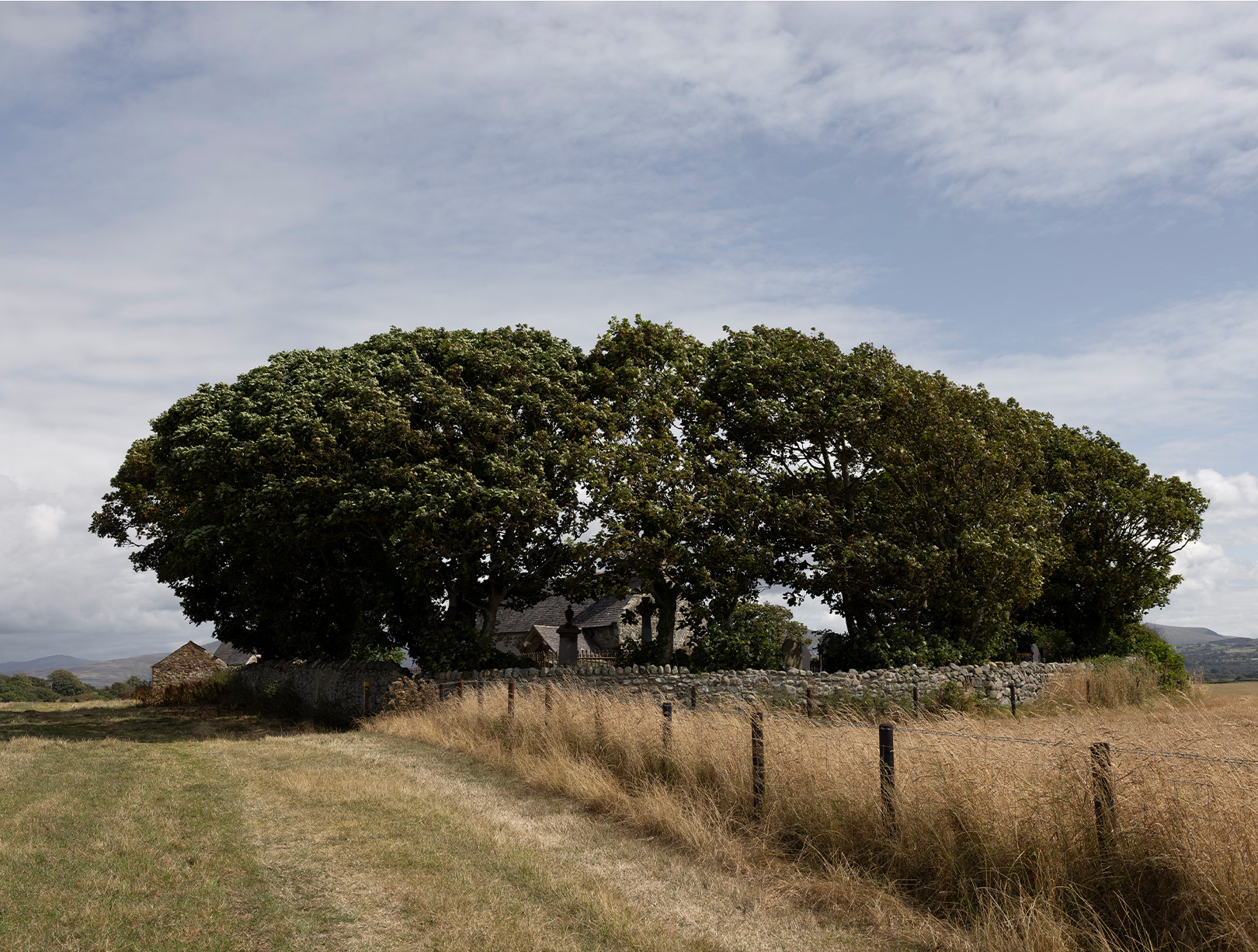 Church of Saint Baglan amongst trees