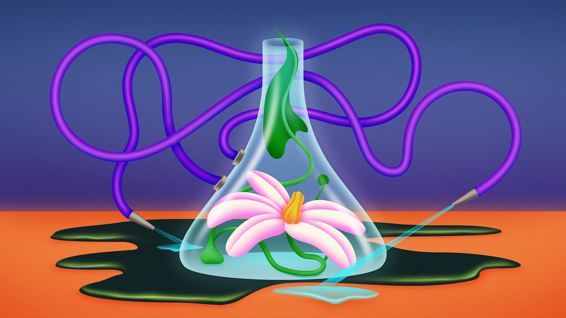 Flower growing in lab beaker