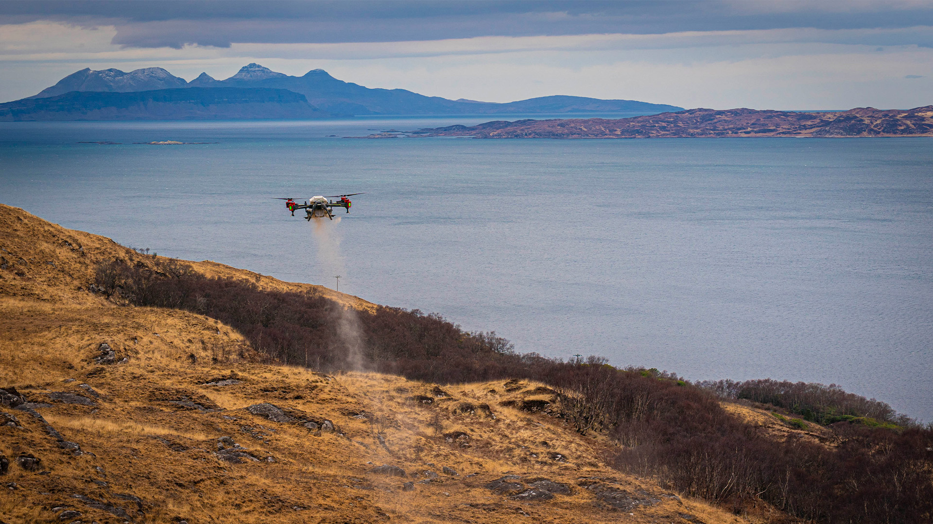 Drone seeding landscape