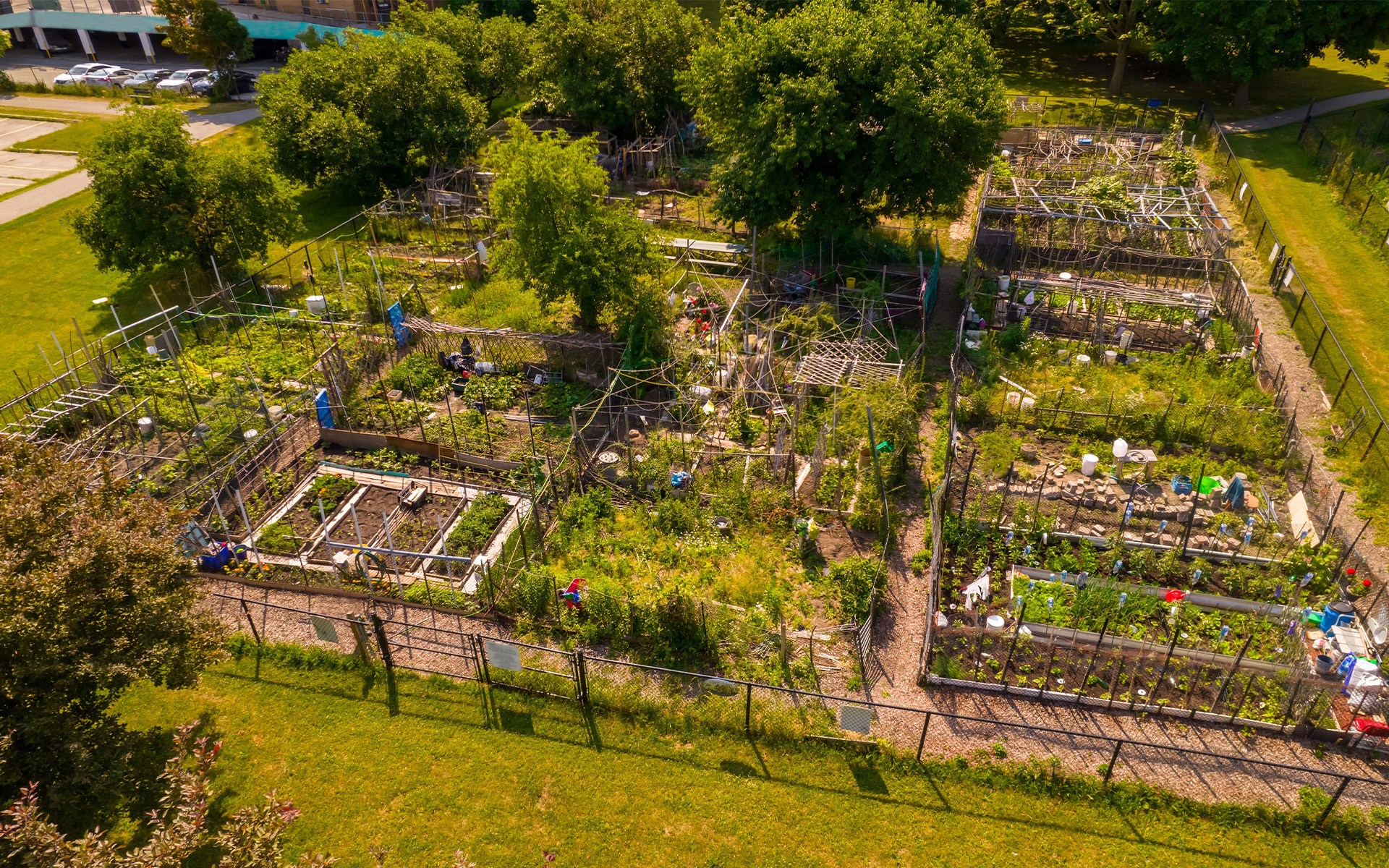 Aerial photo of Canadian community garden