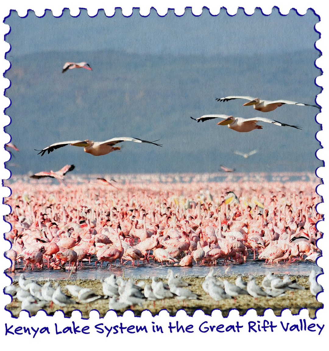 Pelicans flying over a lake filled with flamingoes