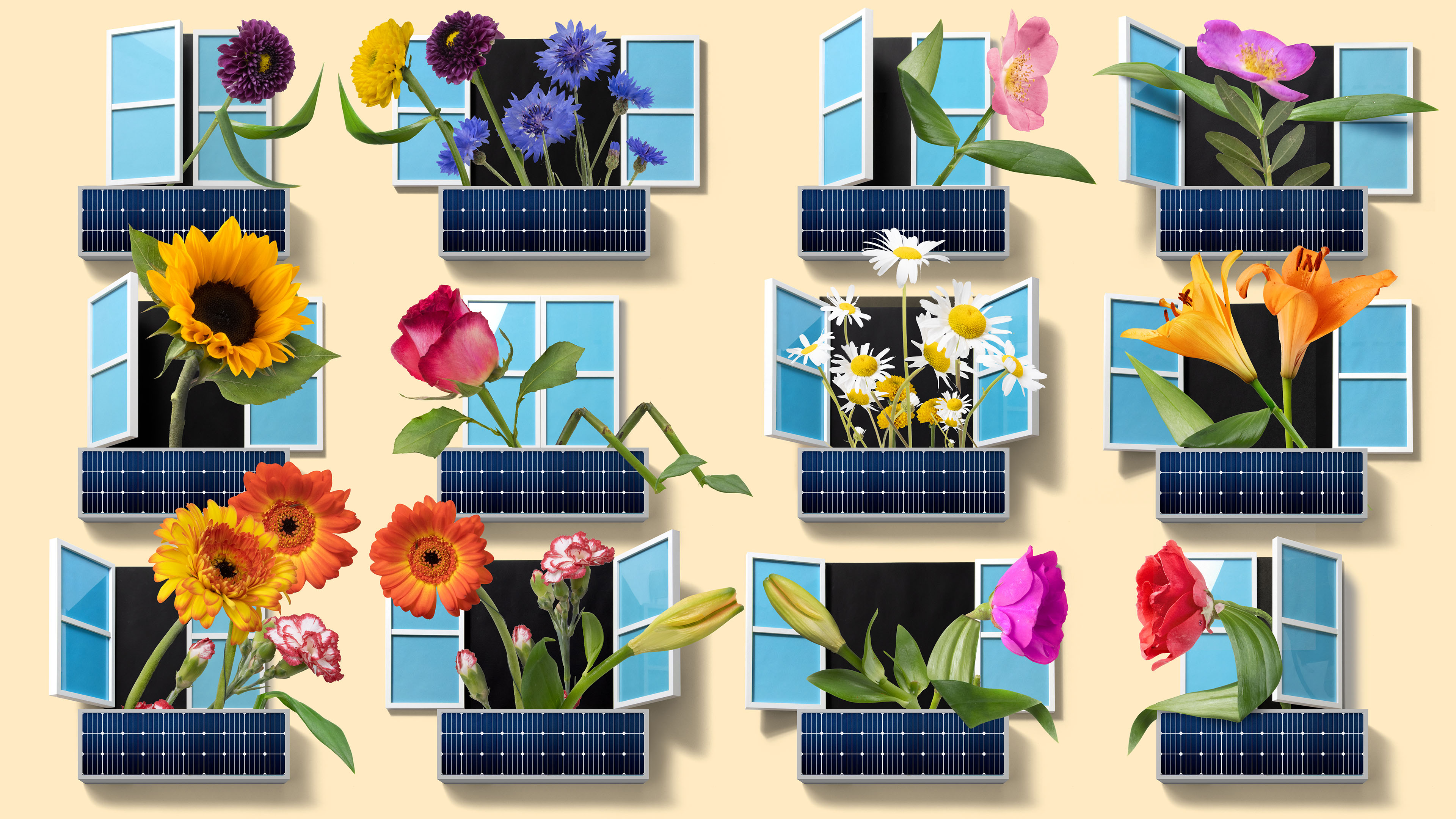 Illustration of flowers coming out of windows with solar panel balconies