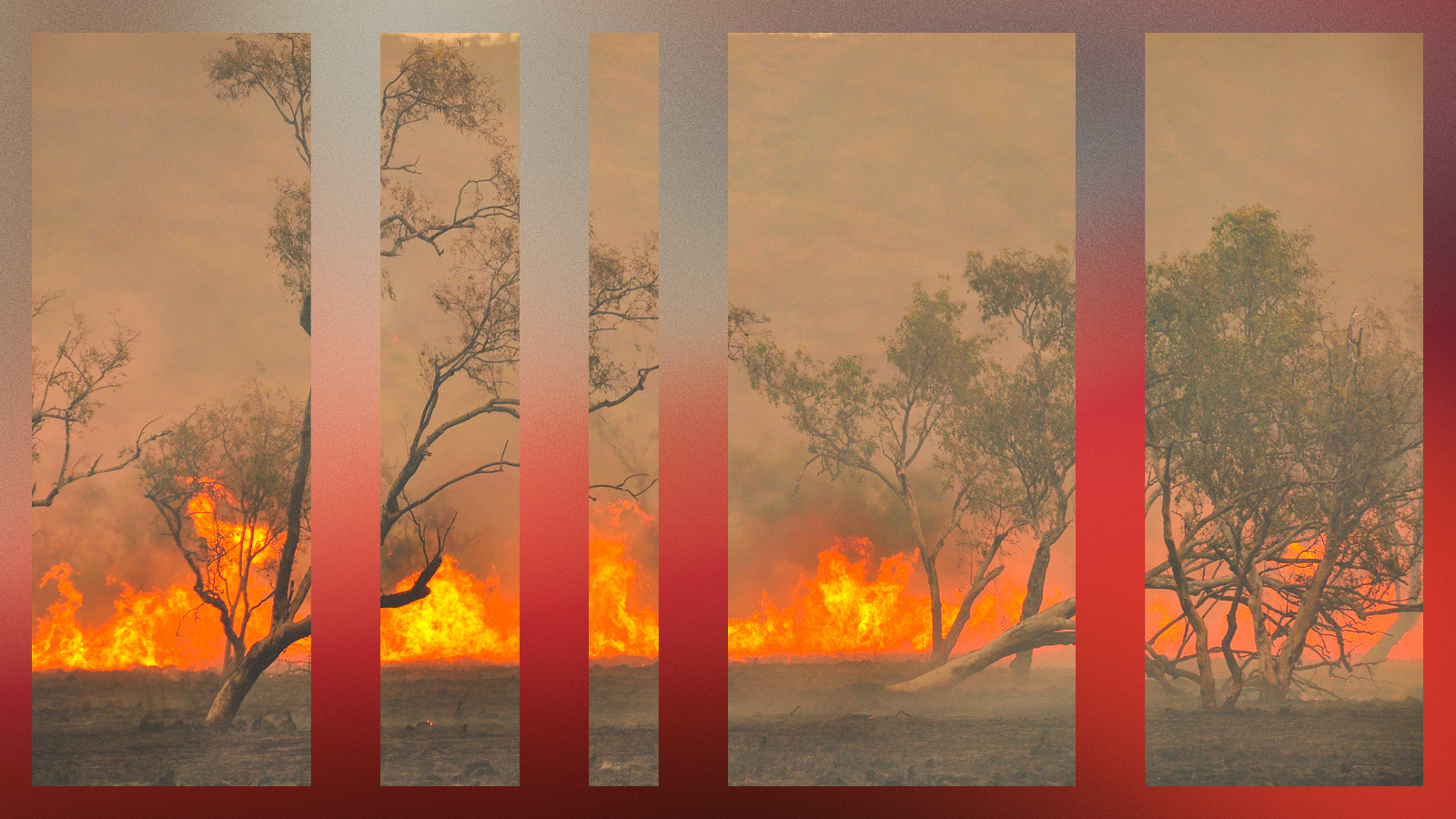 Australian bush fire