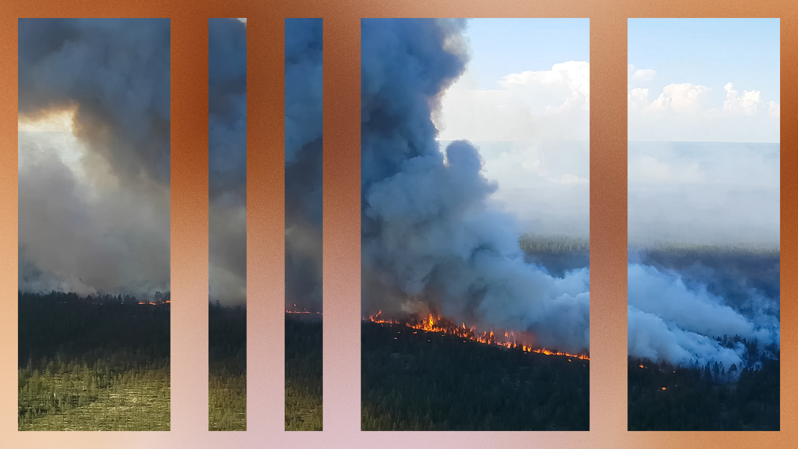 Forest fire in Russia