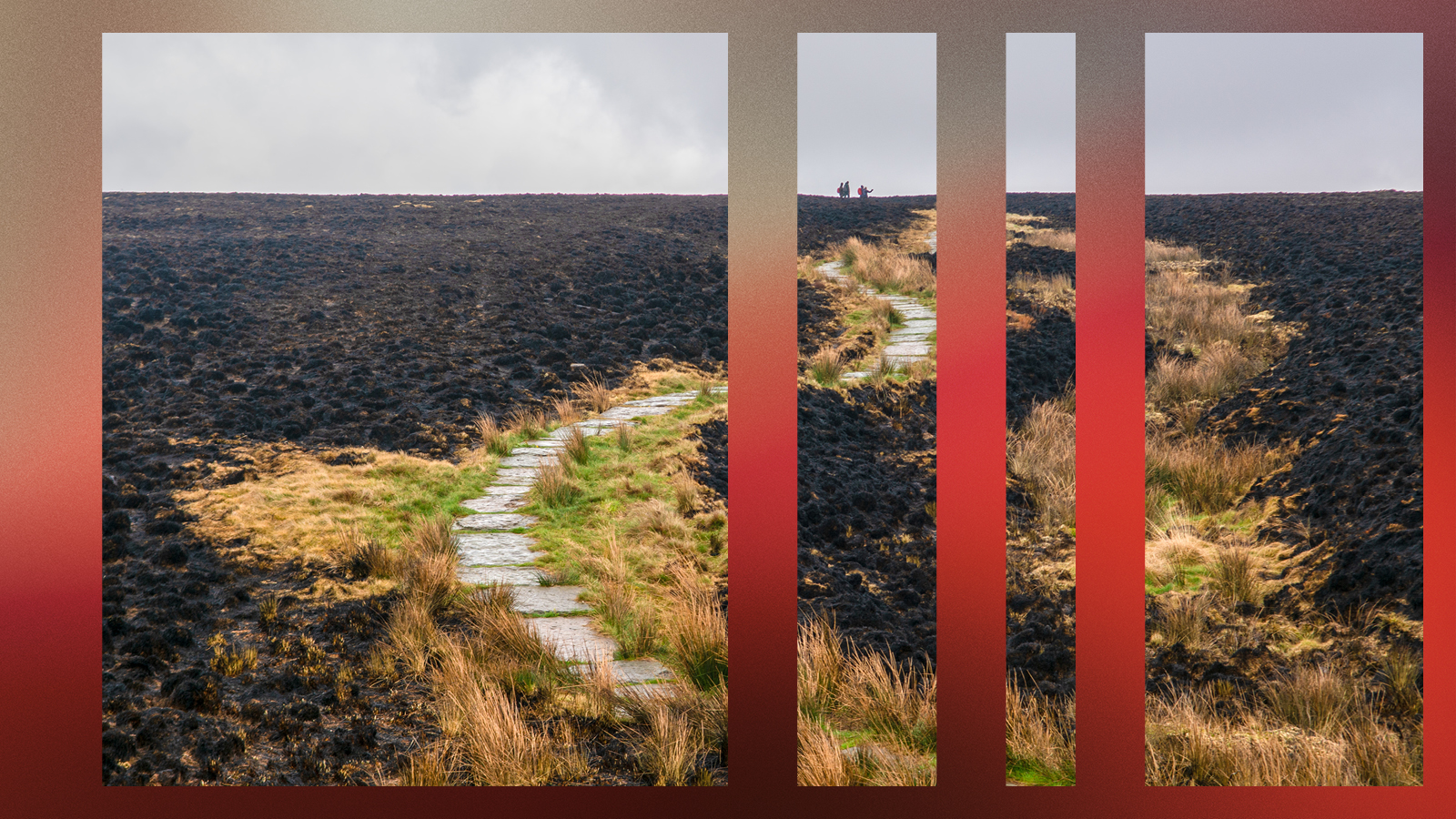 Burnt ground Saddleworth Moor