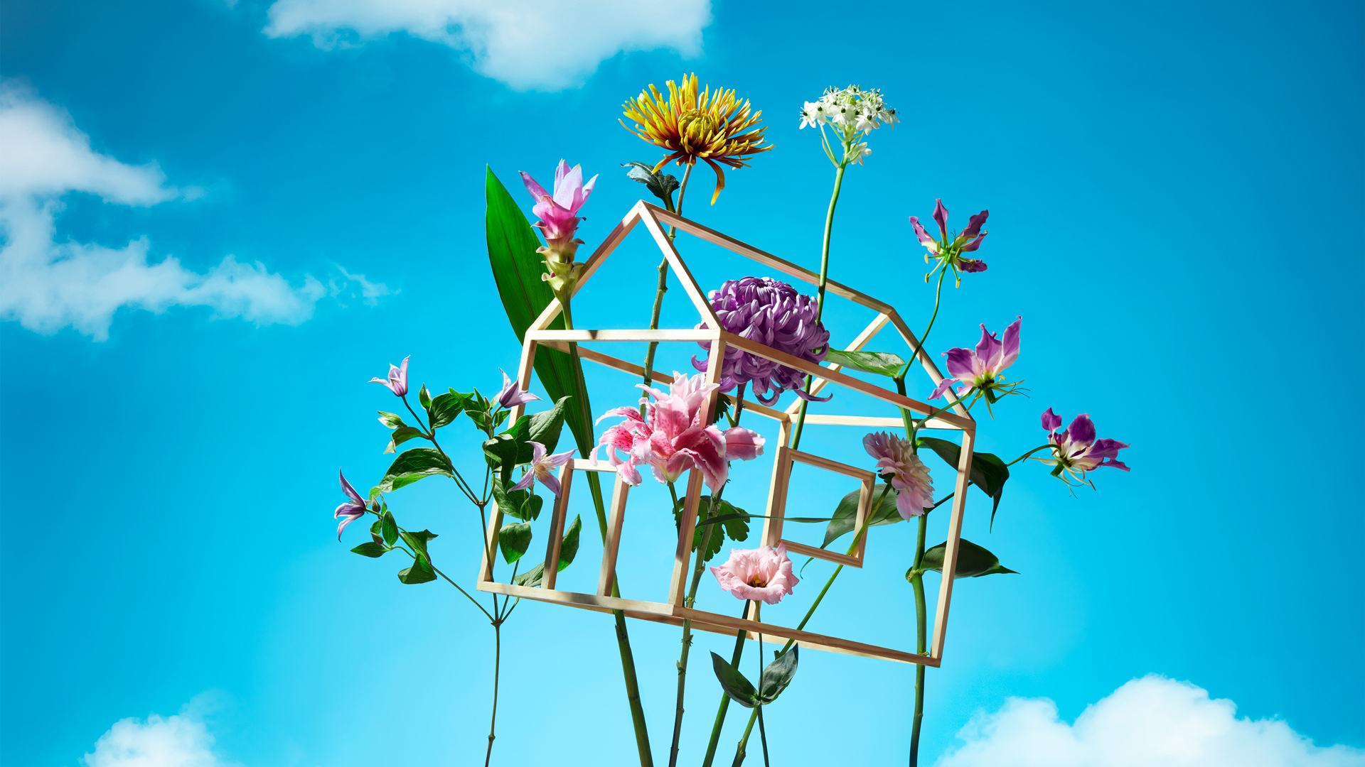 Wooden frame house filled with flowers against bright blue sky