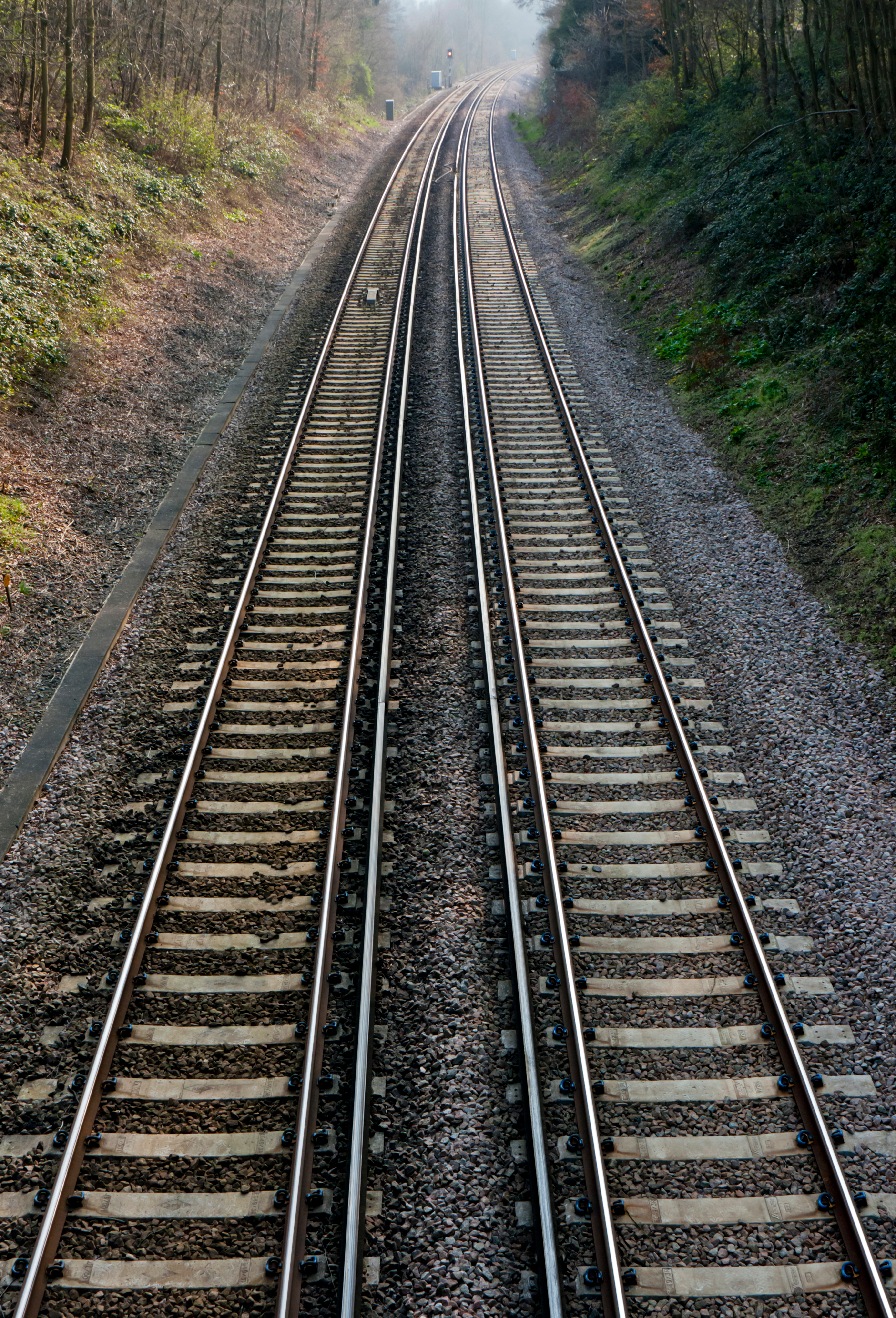 Parallel railway tracks recede into the distance in Surrey, England