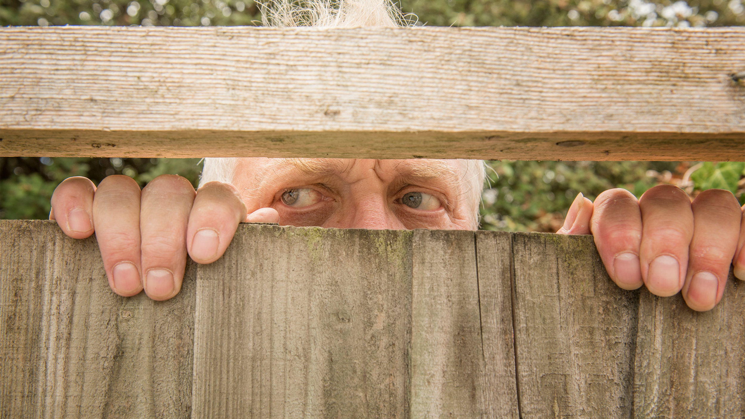 mature white man looking through a slat in fence 