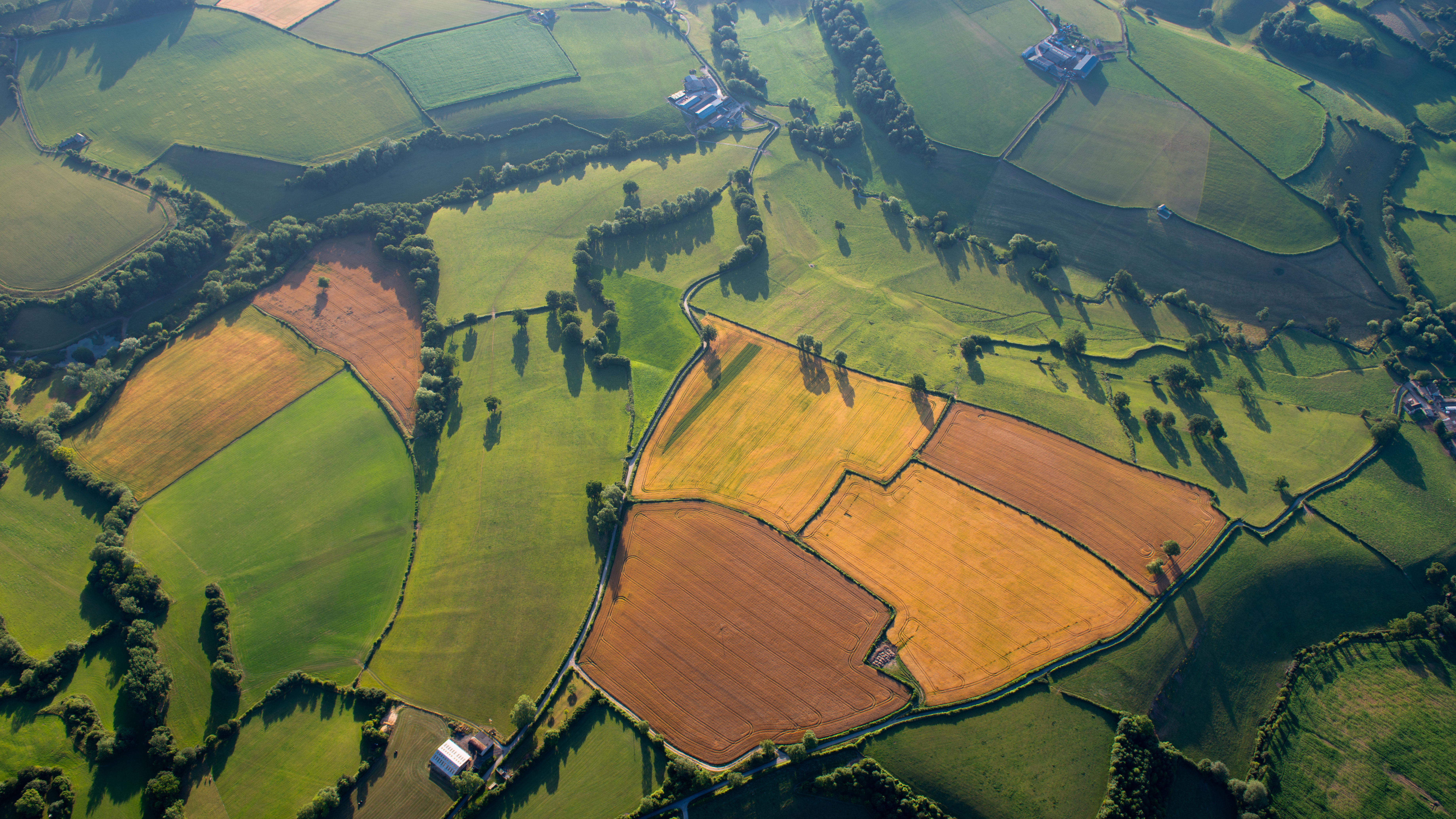 New code aims to help tenant farmers diversify