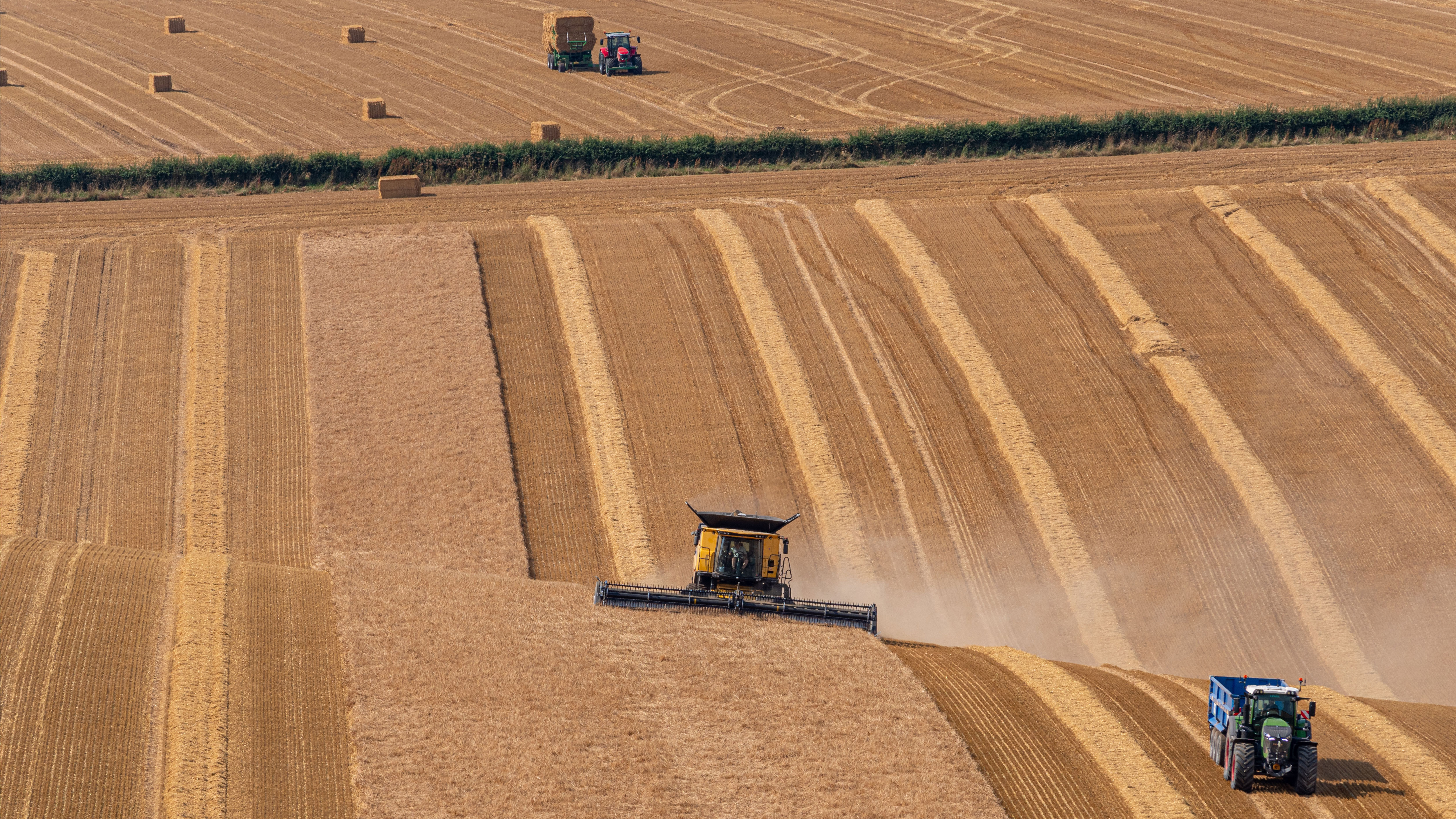 harvesting with agricultural machinery in fields