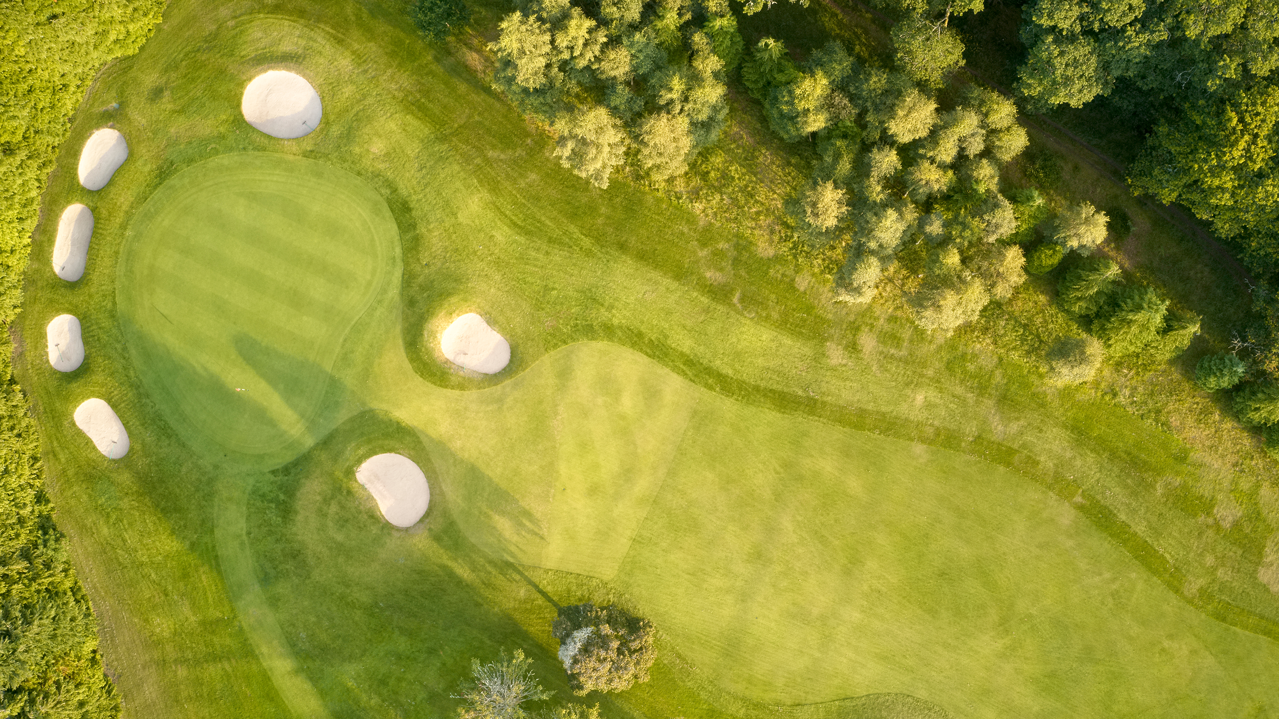 Golf course in summer showing green and bunkers