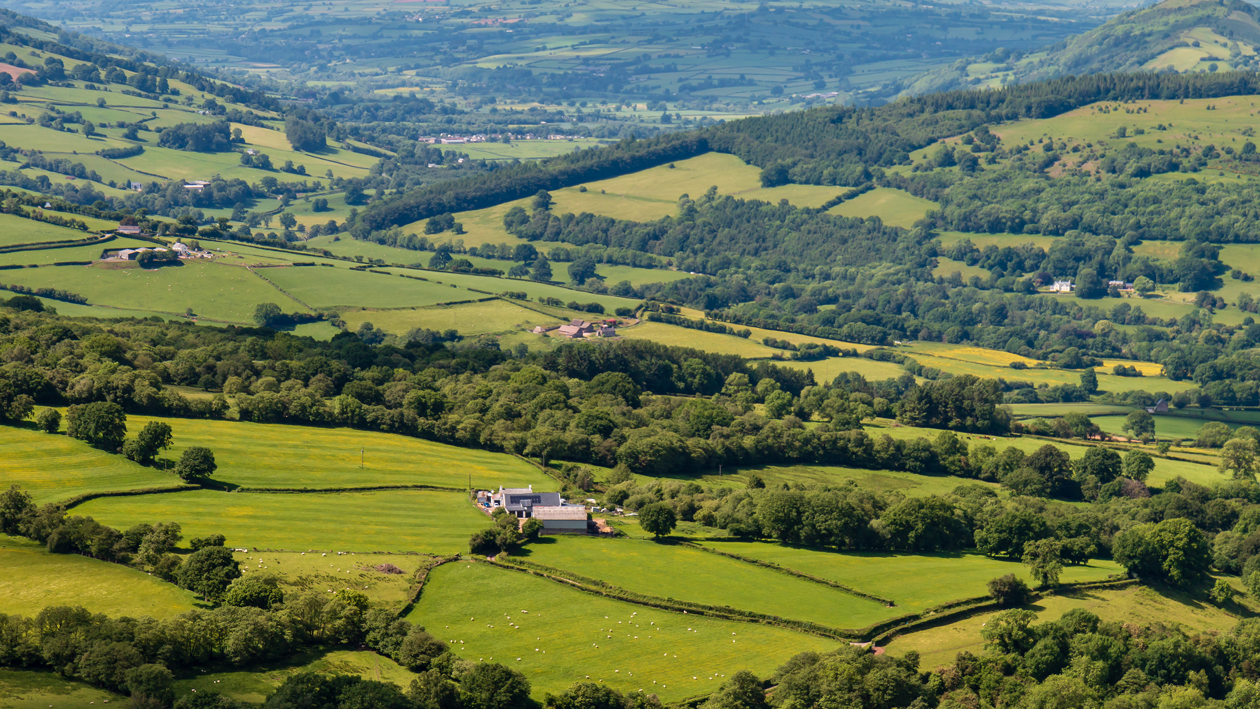 Farmland and fields in rural Welsh landscape