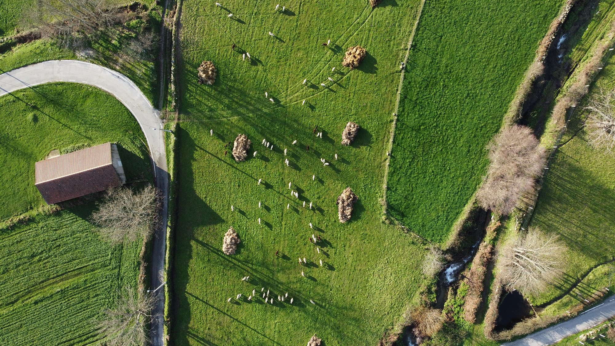 Why is the Land Use Framework important? | Journals | RICS