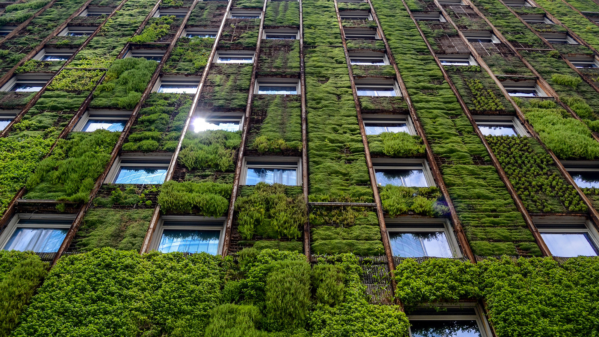 Wall of high-rise building covered with plants, reflection of sunlight in one of the windows; Shutterstock ID 1251913315; Purchase Order: NA; Job: Property Journal May 21; Client/Licensee: RICS