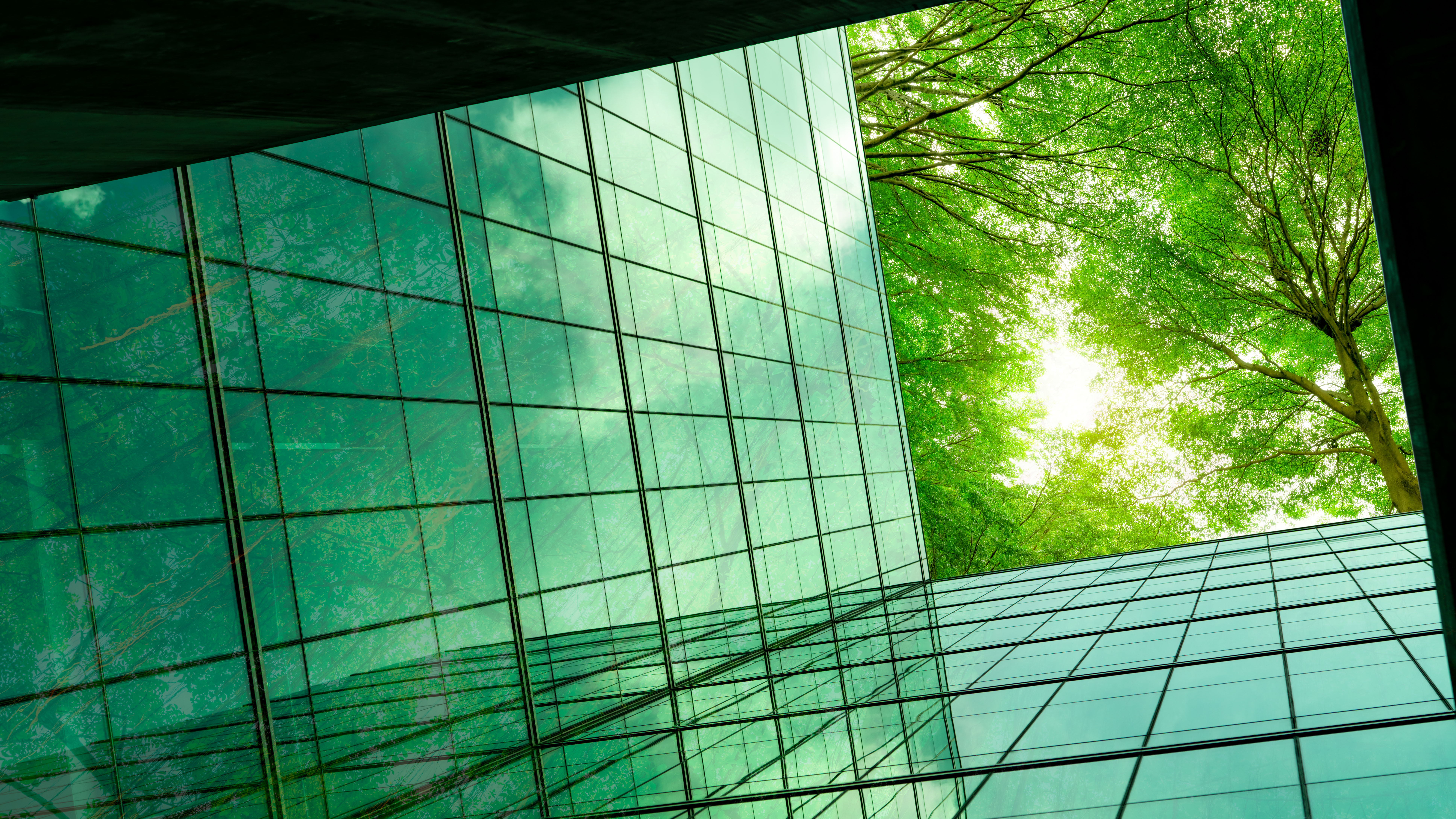 Eco-friendly building in the modern city. Green tree branches with leaves and sustainable glass building for reducing heat and carbon dioxide. Office building with green environment. Go green concept.; Shutterstock ID 2042204567; purchase_order: NA; job: Property Journal May 22; client: RICS; other: 