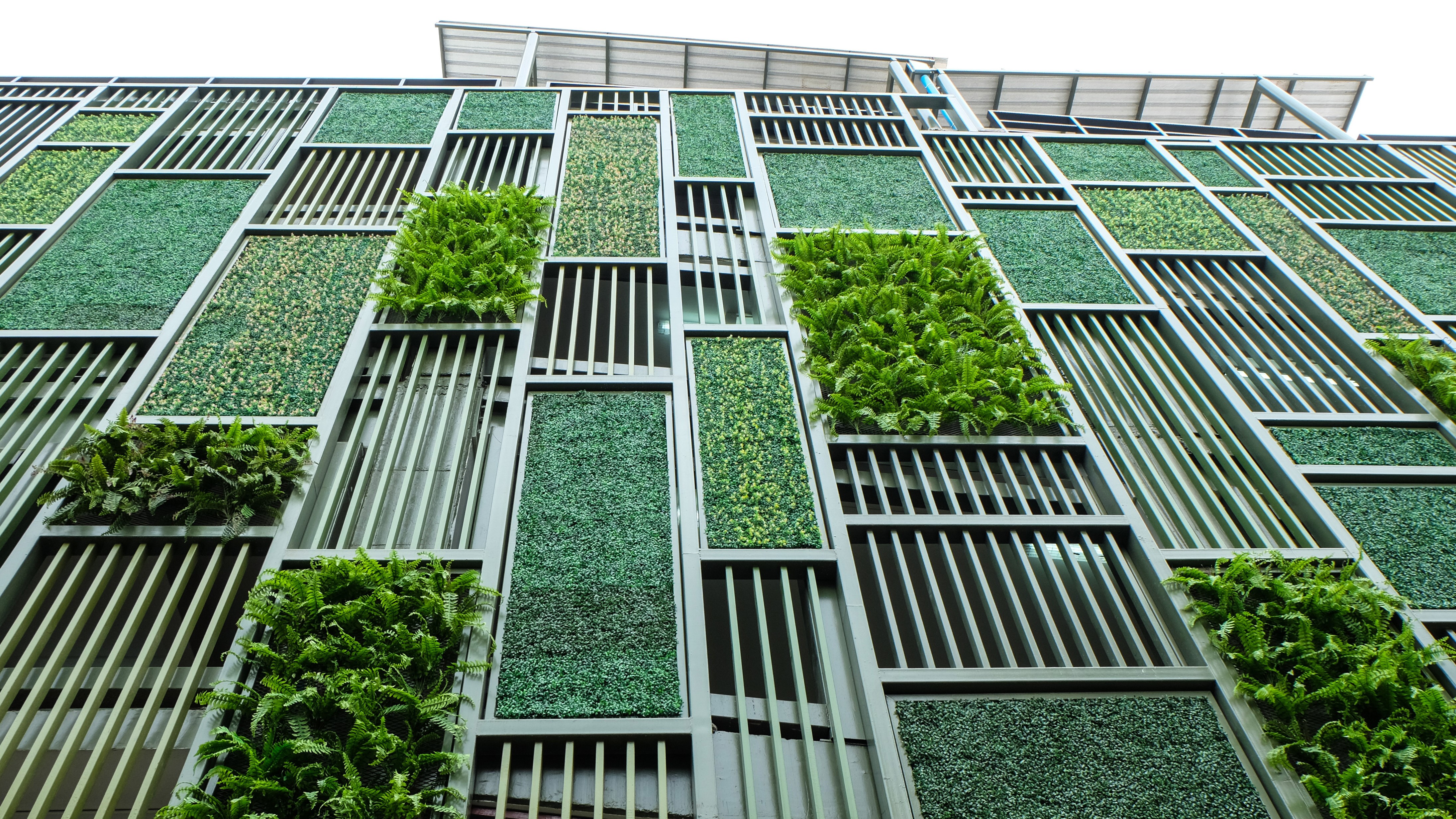 Green facade, vertical garden in architecture. Ecological building. Green architecture; Shutterstock ID 313287029; purchase_order: N/A; job: Net Zero Carbon Building Standard; client: RICS; other: 