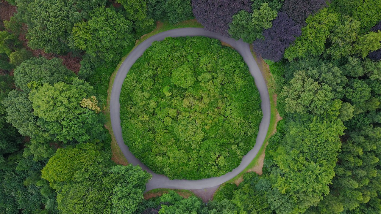 Roundabout in the middle of a forest in Belgium. Circular road surrounded by trees; Shutterstock ID 1614438151; purchase_order: na; job: CJ WRAP SEPT; client: ; other: 