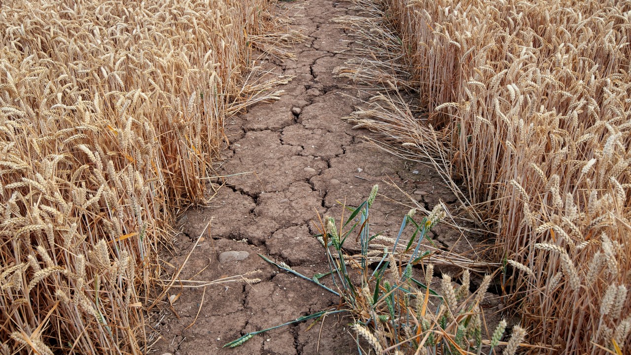 Drought measures could be brought in after a period of remarkably dry wCracked earth on a farm in Staffordshire